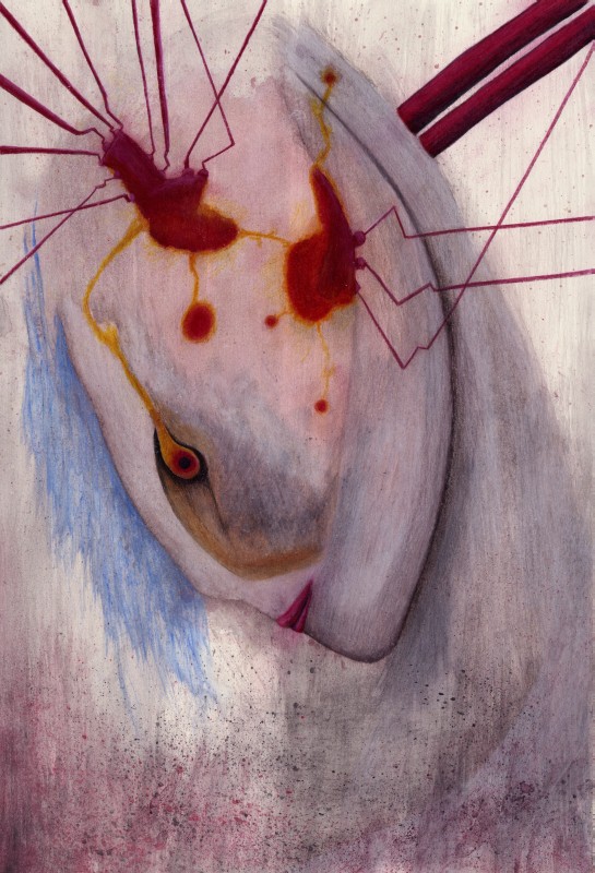 Graphite, coloured pencil, watercolour pencil on paper, 38 x 26 cm, 2012. © Kyriakos Papageorgiou