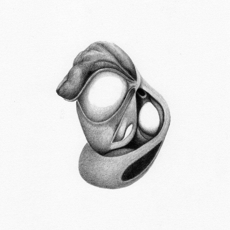 Graphite on paper, 2013. © Kyriakos Papageorgiou