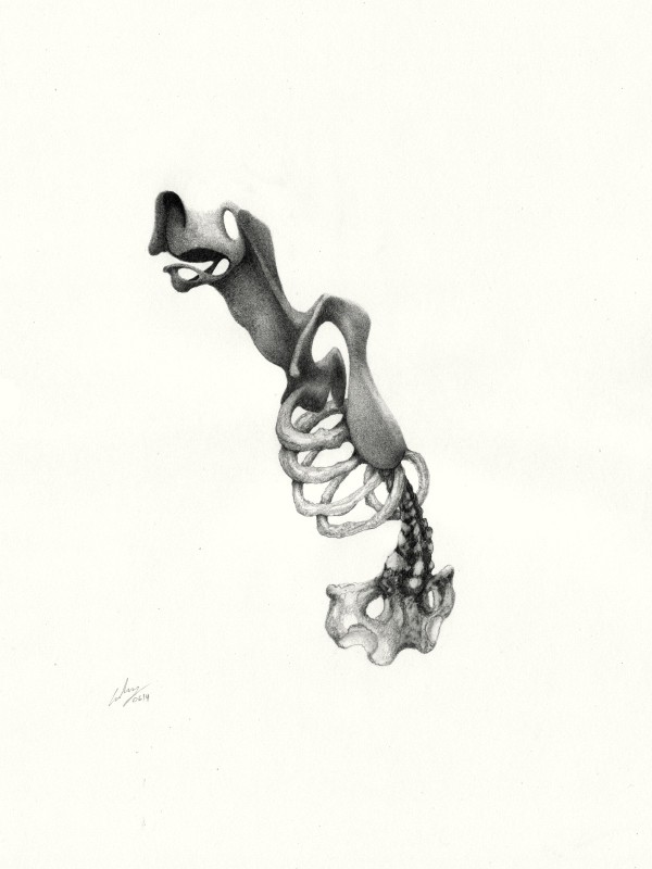 Graphite on paper, 40 x 29.7 cm, 2014. © Kyriakos Papageorgiou