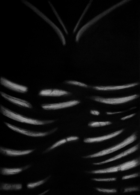 Κάρβουνο σε χαρτί, 70 x 50 εκ, 2014. © Κυριάκος Παπαγεωργίου