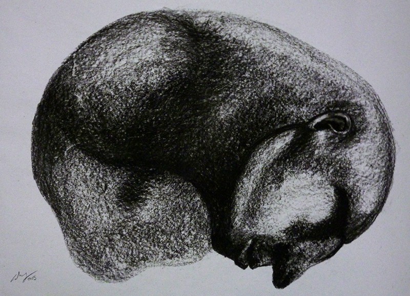 Charcoal on paper, 2015. © Kyriakos Papageorgiou