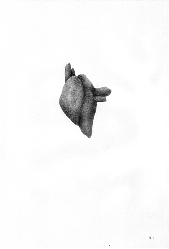 Graphite on paper, 2017. © Kyriakos Papageorgiou